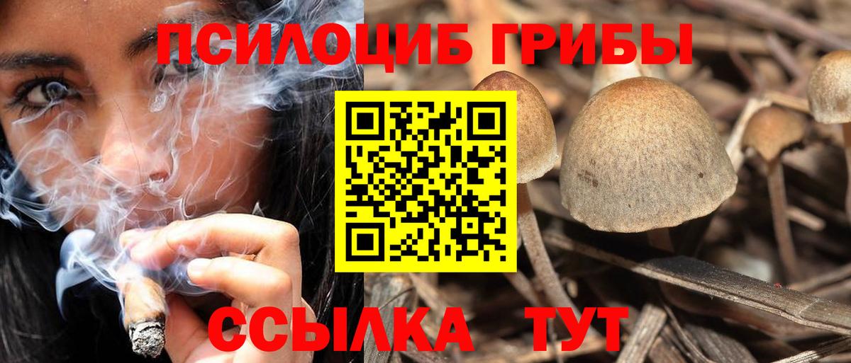 Псилоцибиновые грибы мицелий Лысьва