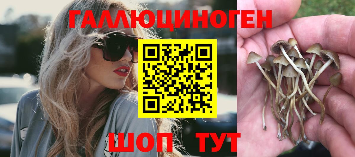 Лысьва  Псилоцибиновые грибы прущие грибы  Вход с VPN 